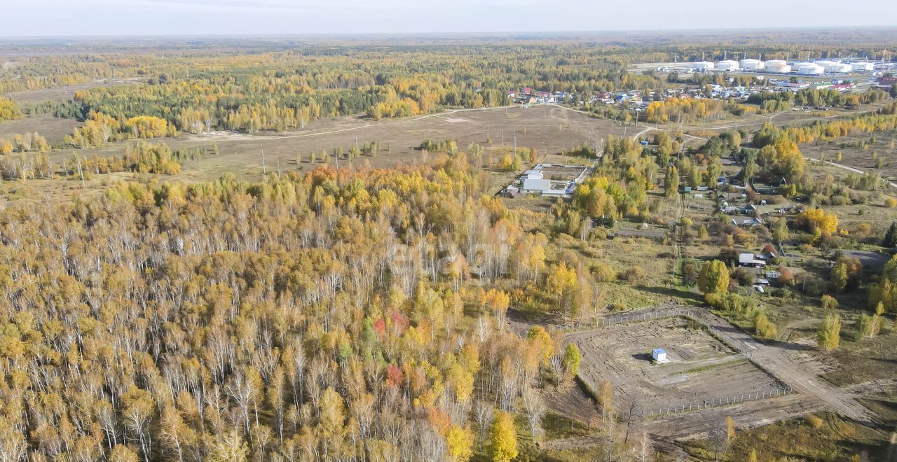 земля р-н Тюменский с Каскара озеро Торгили фото 3