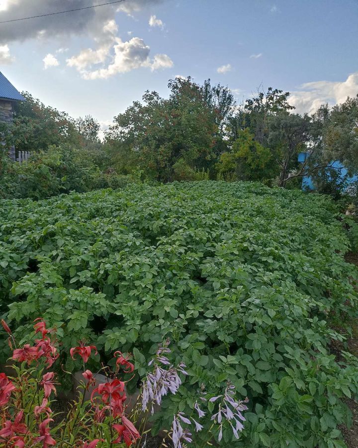земля г Краснотурьинск садовые участки Сад № 21 Южный, 260 фото 13