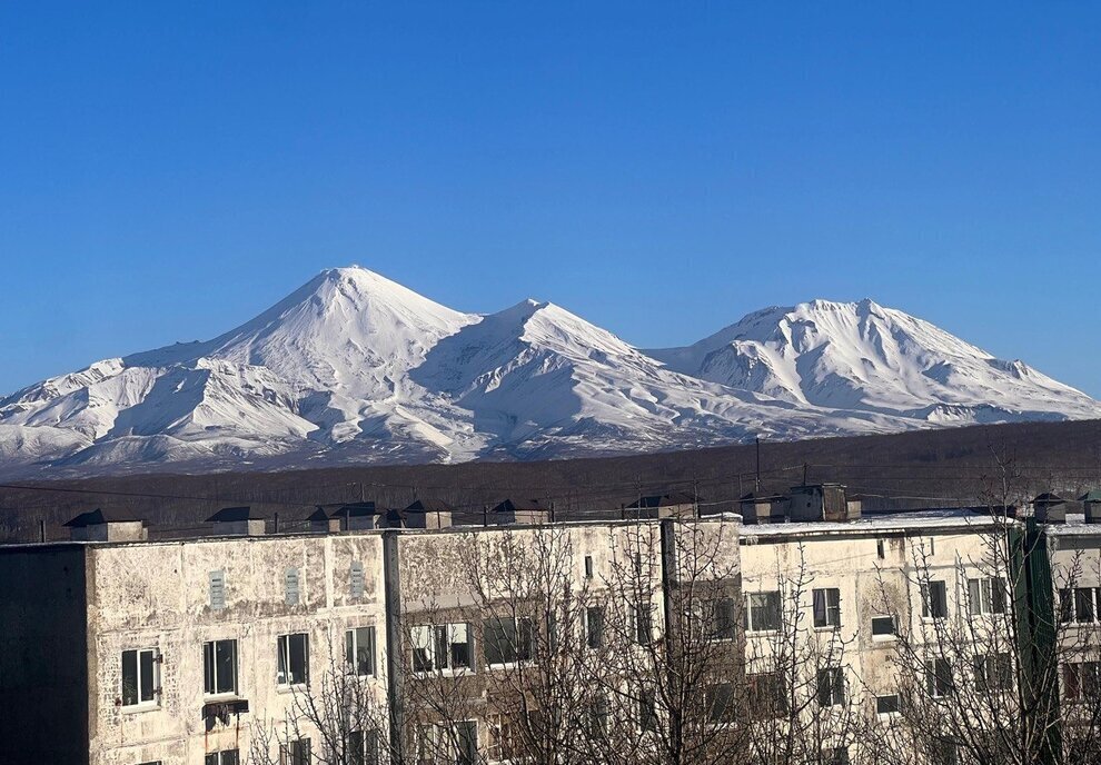 квартира г Петропавловск-Камчатский ул Академика Королева 39/2 фото 13