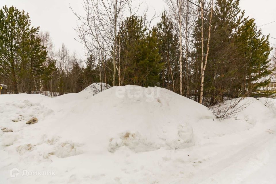 земля г Сургут городской округ Сургут, садовое товарищество Монтажник фото 6