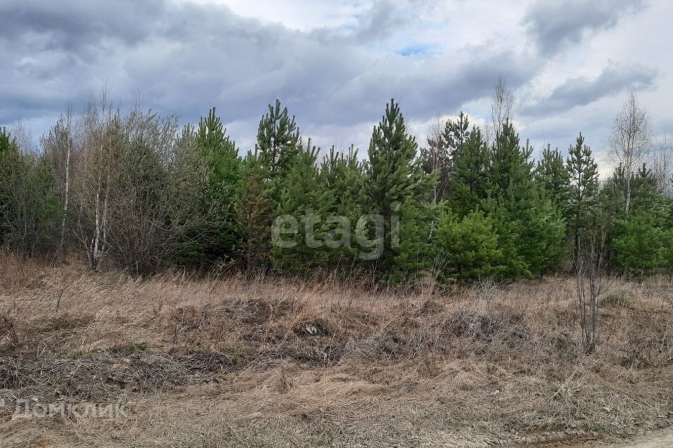 земля г Полевской с Курганово ул 1-ая Малахитовая Полевской городской округ фото 2