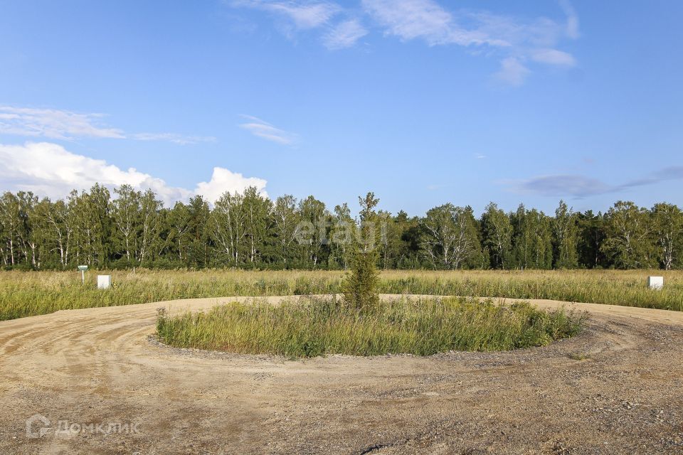 земля р-н Тюменский с Кулаково коттеджный посёлок Зелёные Холмы фото 3