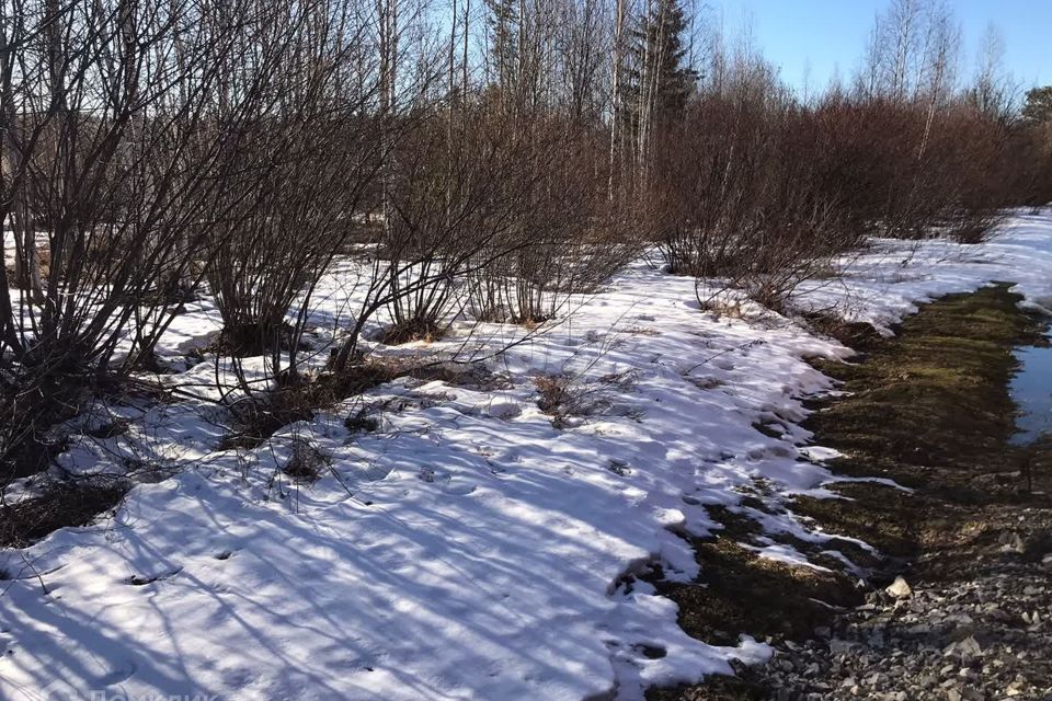 земля городской округ Нижний Тагил, СНТ № 15, Заречный район фото 4