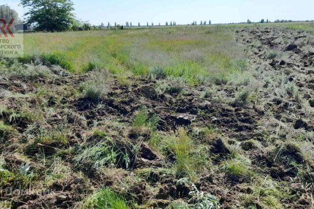 земля с Токарево ул Южная фото