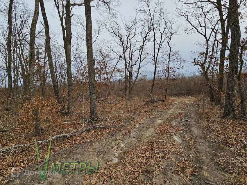 земля г Владивосток ул Беркутовая Владивостокский городской округ фото 7