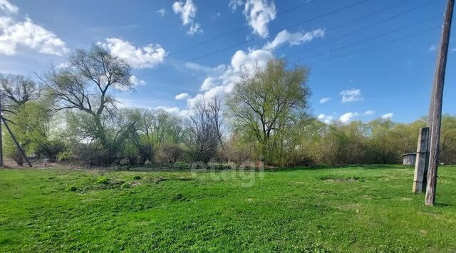 с Поводимово ул Школьная фото