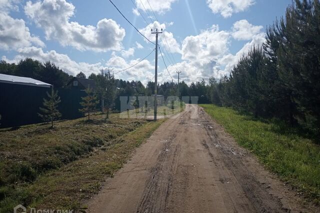 деревня Большой Двор сельское поселение Пригородное фото