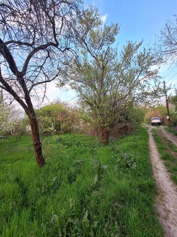 муниципальное образование Анапа, садово-огородническое товарищество Колос фото