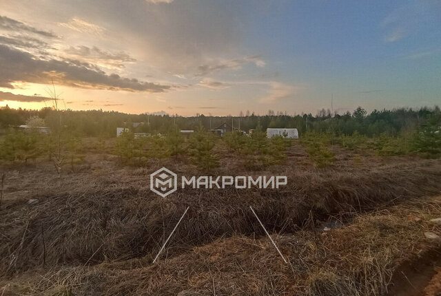 земля Бобинское сельское поселение, коттеджный посёлок Большие Раскопины-2 фото