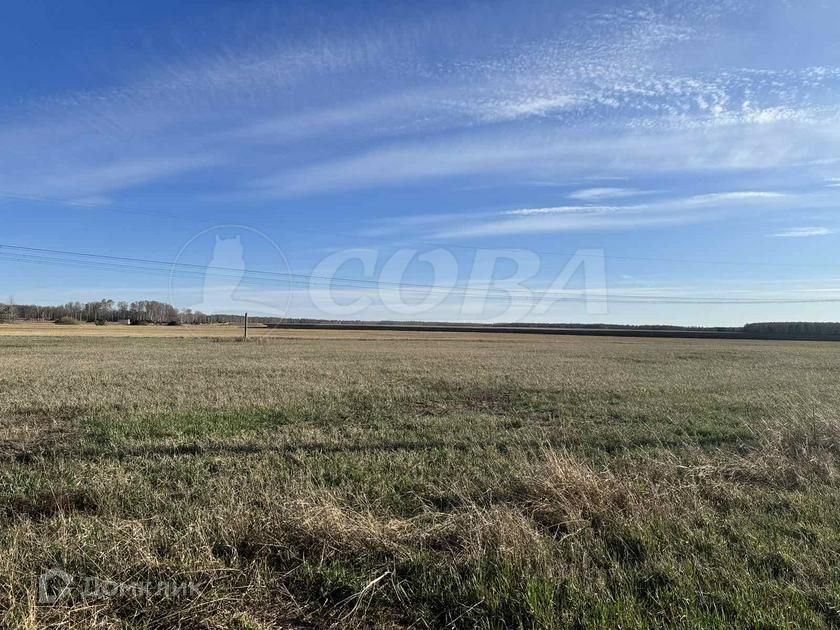 земля р-н Тюменский село Каменка фото 2