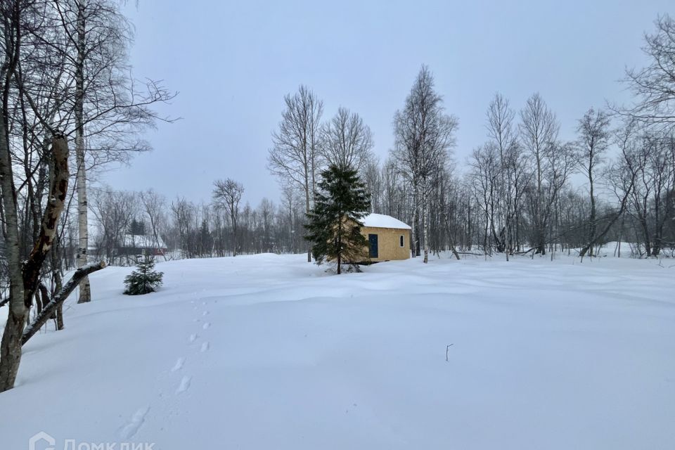 земля р-н Прионежский деревня Ялгуба фото 2