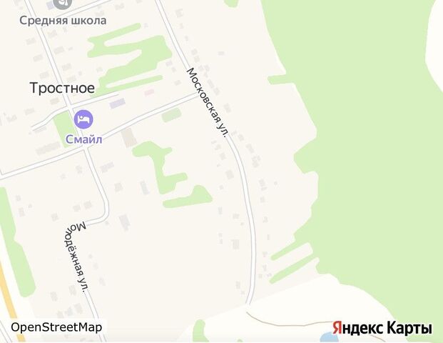 с Тростное ул Московская фото