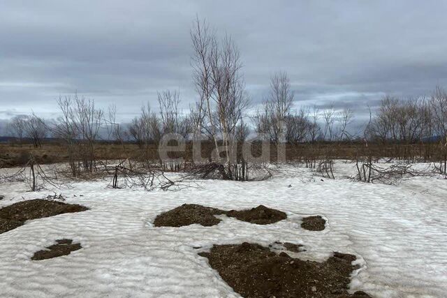 село Новотроицкое фото