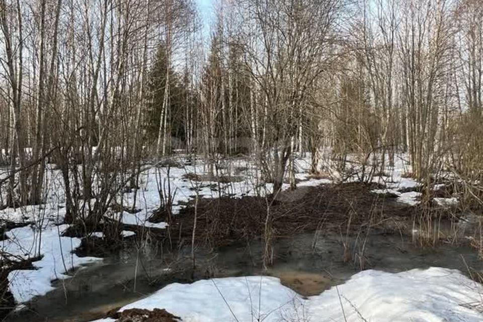 земля р-н Вологодский Подлесное территориальное управление фото 3