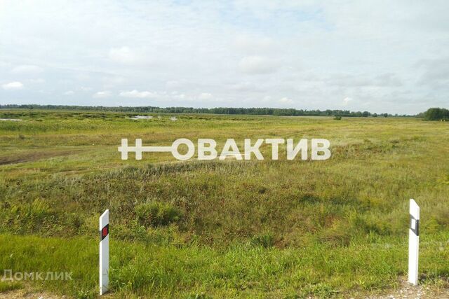 земля с Хабары ул Ленина фото