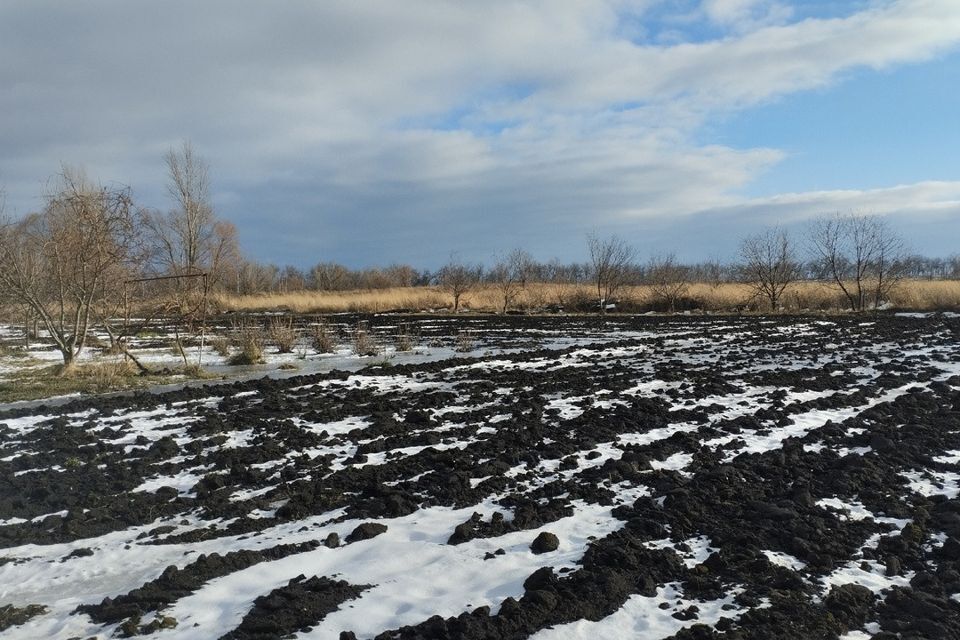 земля р-н Алексеевский село Ильинка фото 3