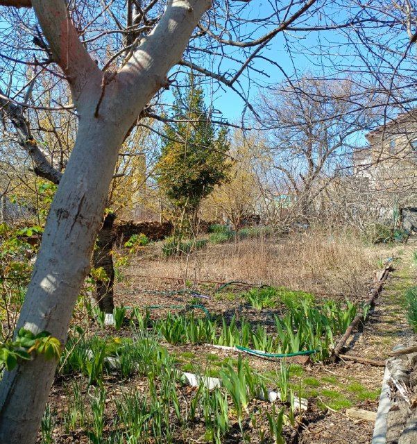 земля г Севастополь Гагаринский муниципальный округ, садоводческое товарищество Голубой залив фото 2