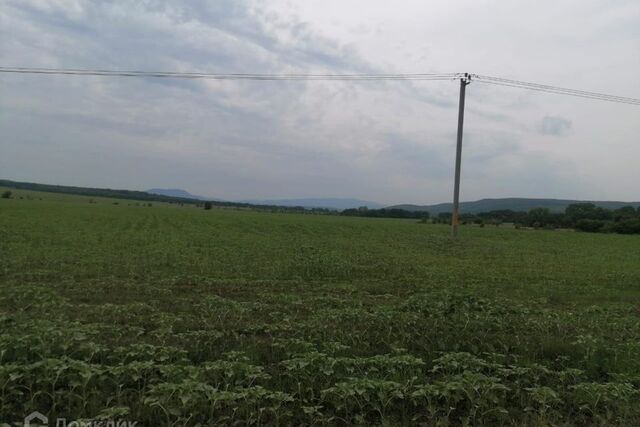 земля Азовское сельское поселение фото