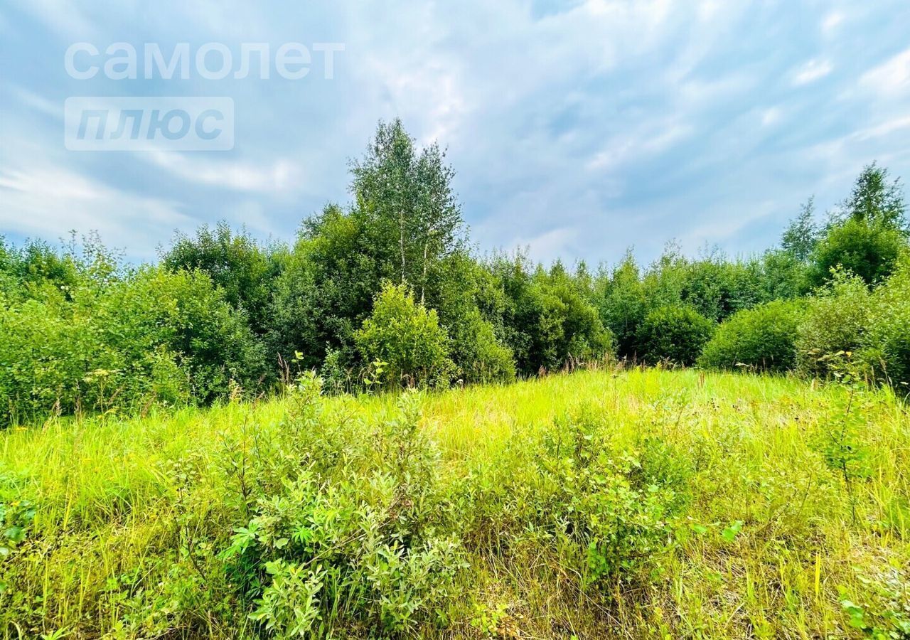 земля городской округ Богородский с Стромынь Черноголовка фото 2