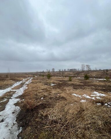 Отрадненское сельское поселение, мкр-н Опушкино, Брянск фото