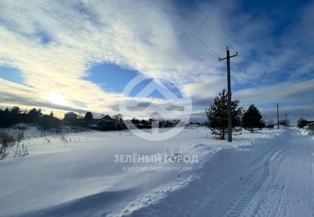 д. Полушкино, г. о. Клин фото