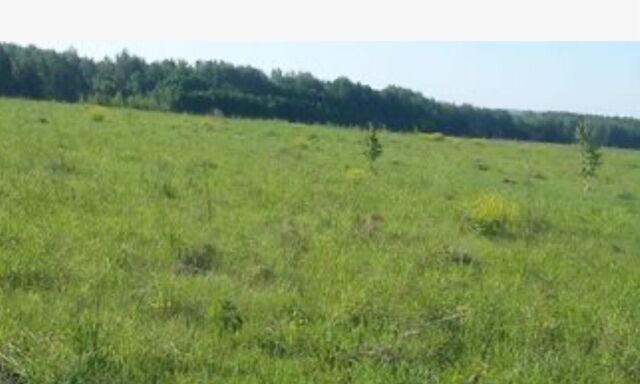 земля р-н Березовский с Зыково Р-255 Сибирь, 857-й километр фото