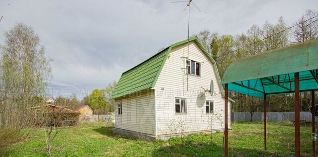 Апрелевка, Журналист при ЗАО Издательский Дом Сельская Новь СНТ, 126 фото