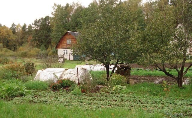 сад Связист р-н Октябрьский ул Лесная фото