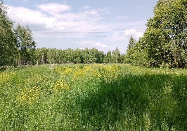 земля сельское поселение Сени, Товарково фото