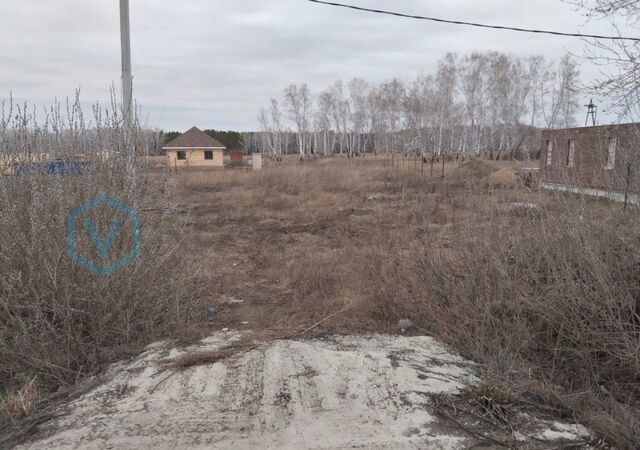 земля ул 2-я Березовая Морозовское сельское поселение, Омск фото