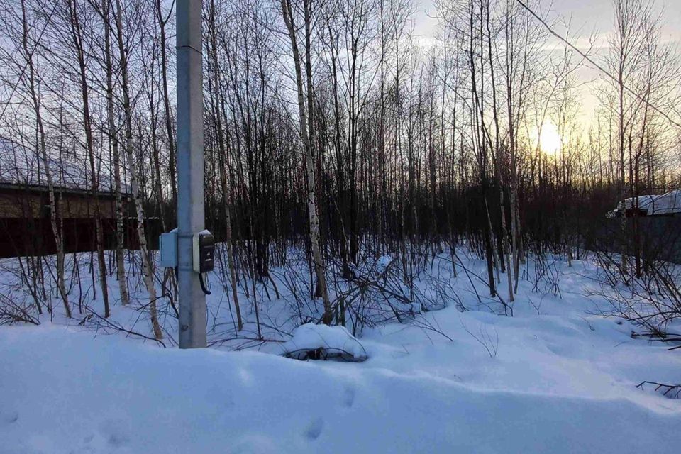 земля городской округ Богородский г Ногинск снт Ветеран 7-я линия фото 2