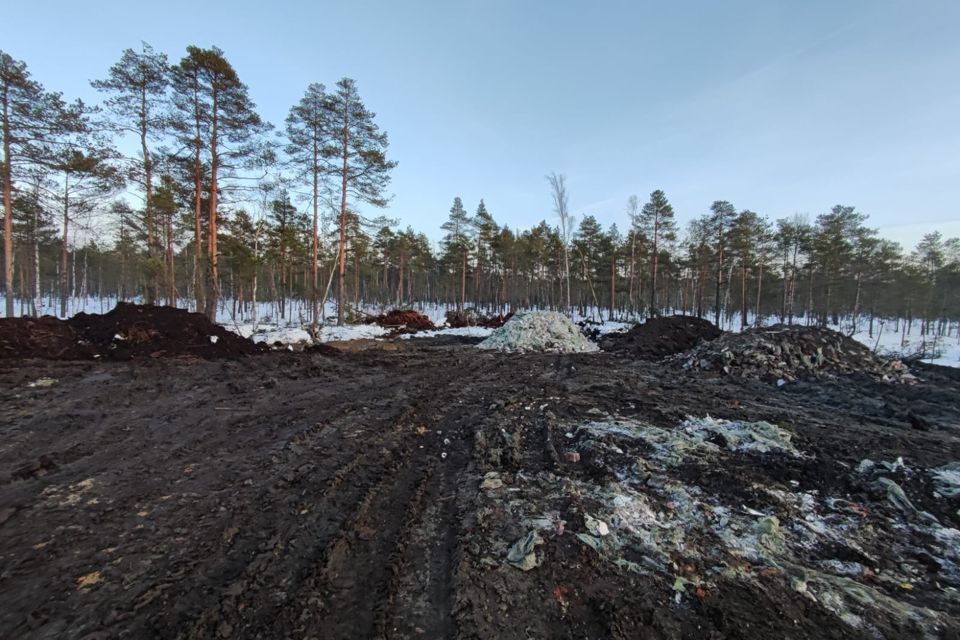 земля р-н Всеволожский Всеволожское городское поселение фото 3