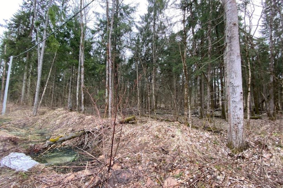 земля городской округ Сергиево-Посадский г Хотьково тер ДПК Весна пер Лазурный фото 6