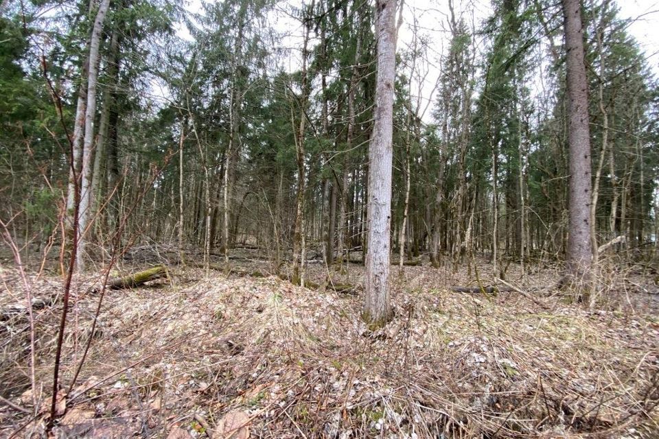 земля городской округ Сергиево-Посадский г Хотьково тер ДПК Весна пер Лазурный фото 7