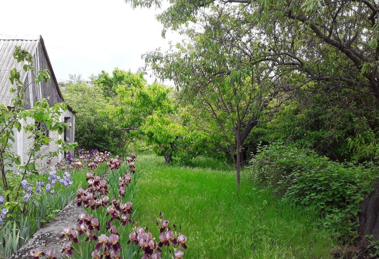 земля г Севастополь садоводческое товарищество Движенец, Крым фото 4
