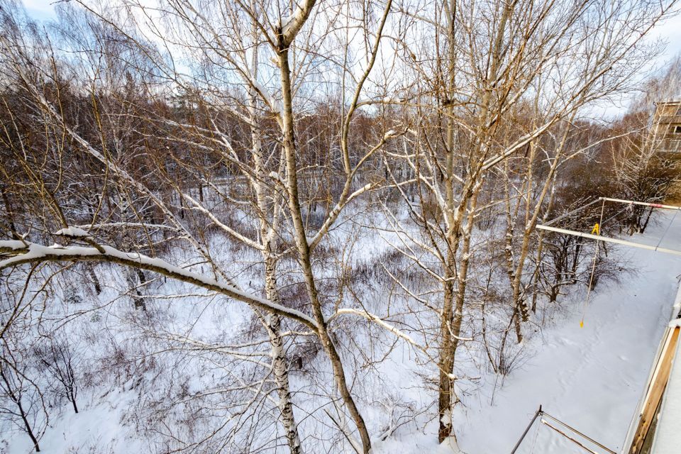 квартира г Нижний Тагил ул Каспийская 27 городской округ Нижний Тагил фото 6