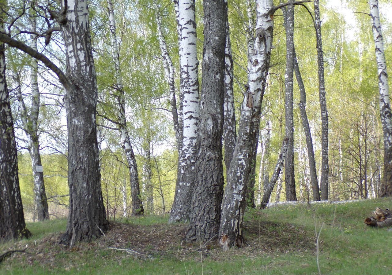 земля городской округ Серпухов д Прончищево Пущино фото 5