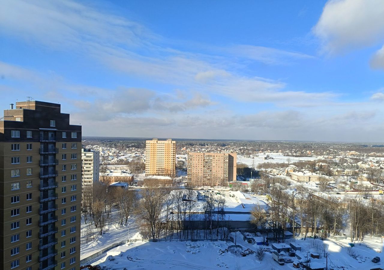 квартира городской округ Богородский г Ногинск ул Шибаевская 1 фото 3