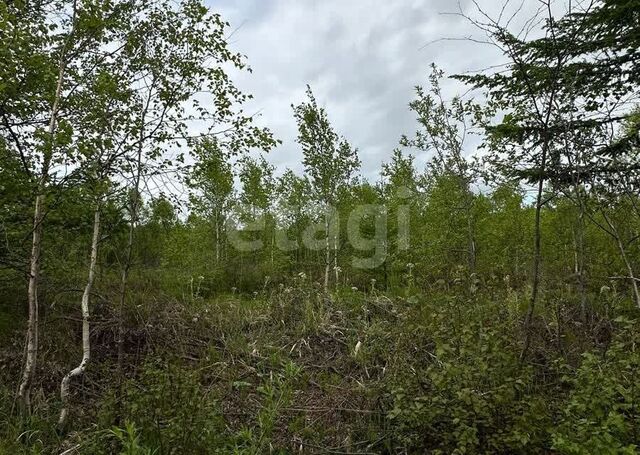 земля г Южно-Сахалинск ул 1-я Дружбы 7 городской округ Южно-Сахалинск фото