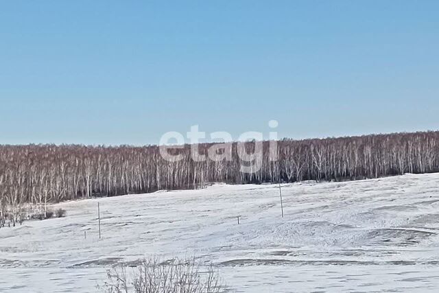 земля фото