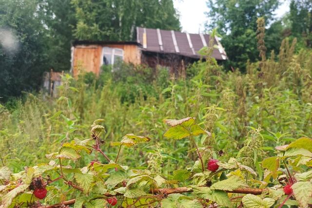 р-н Томский садоводческое некоммерческое товарищество Плиточник фото