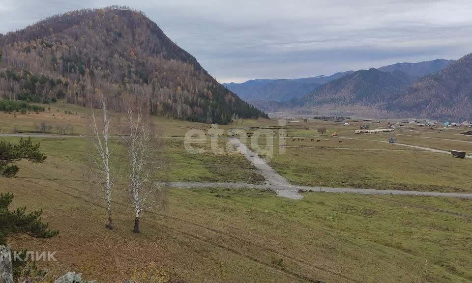 земля р-н Чемальский село Элекмонар фото 3