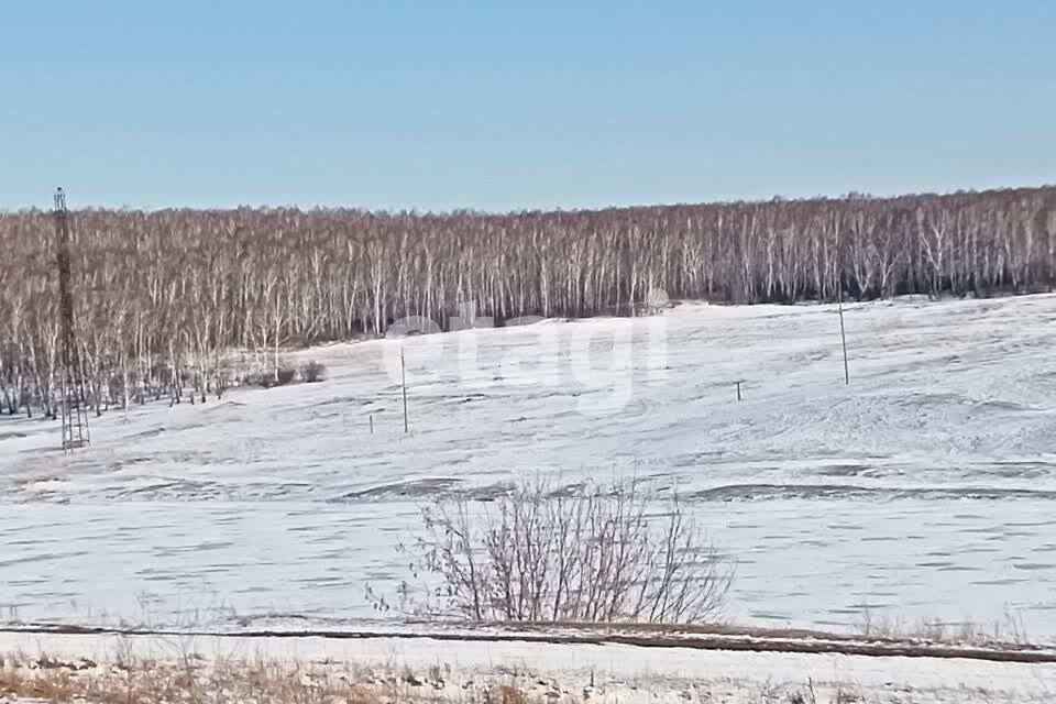 земля р-н Емельяновский с Шуваево ул Береговая фото 2