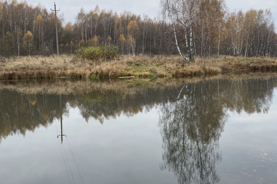 земля р-н Заокский СНТ Шульгинское-2 фото 5