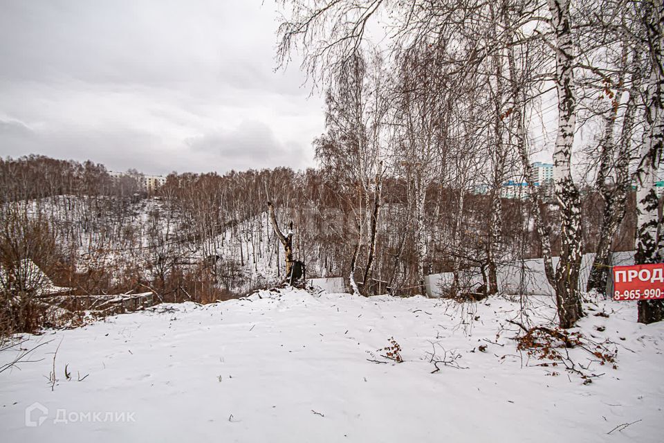 земля г Новосибирск снт Комета-Березка 461, городской округ Новосибирск фото 7