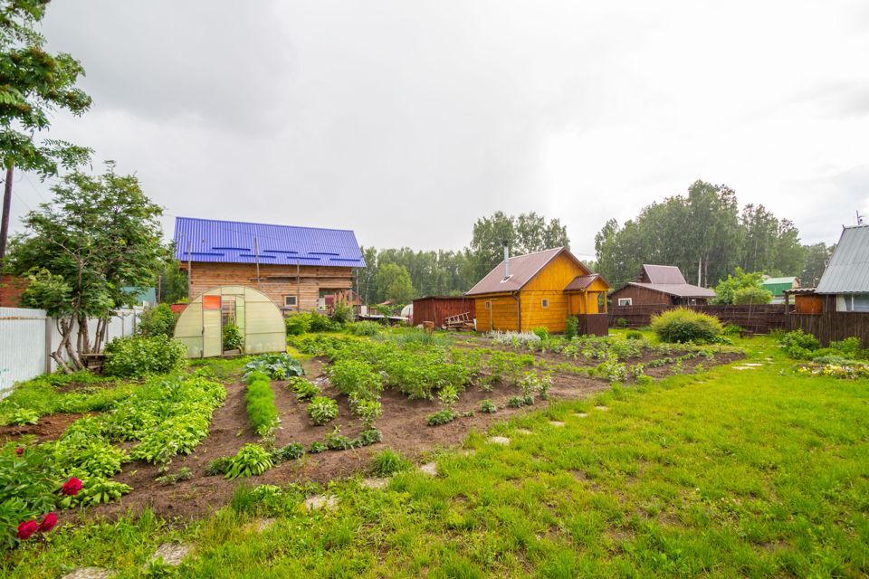 дом р-н Новосибирский некоммерческое садоводческое товарищество Берёзовая Роща, 61 фото 7