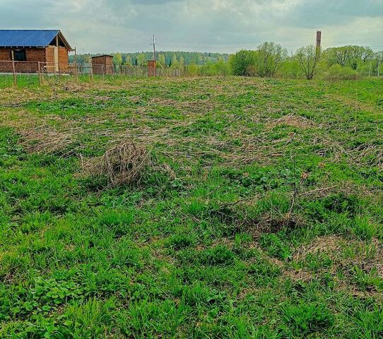 деревня Кузьмино фото