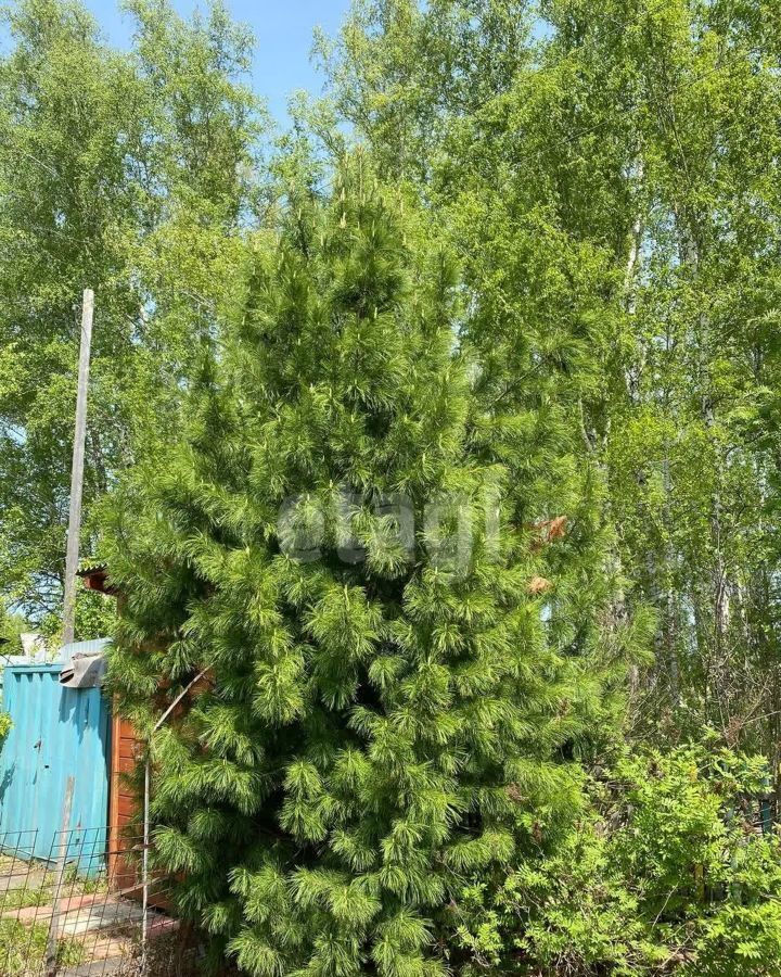дом р-н Новосибирский снт Мелиоратор Новолуговской сельсовет, Барышево фото 36