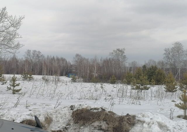 Есаульский сельсовет, Сосновоборск фото