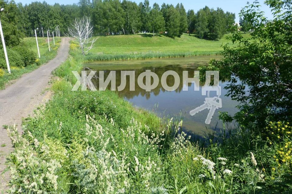 земля р-н Новосибирский станция Мочище фото 1
